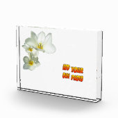 Weiße, sonnige Tulip-Blume Kruste. Fotoblock (Rechts)