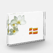 Weiße, sonnige Tulip-Blume Kruste. Fotoblock (Links)