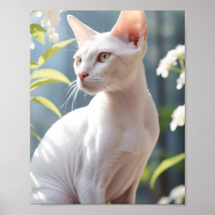 Weiße Sphinx-Katze und Blumen Poster