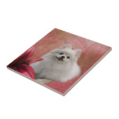 Weiße Spitz Blume Tiere Fliese (Seite)