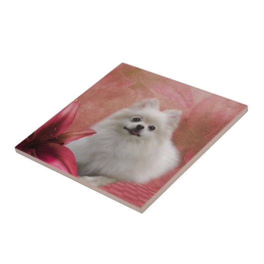 Weiße Spitz Blume Tiere Fliese (Seite)