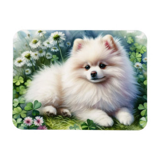 Weiße Spitz, Wasserfarbenklee flexibel Magnet