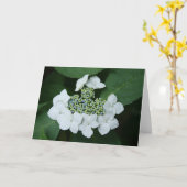 Weiße Spitze-Gruß-Karte Karte (Gelbe Blume)