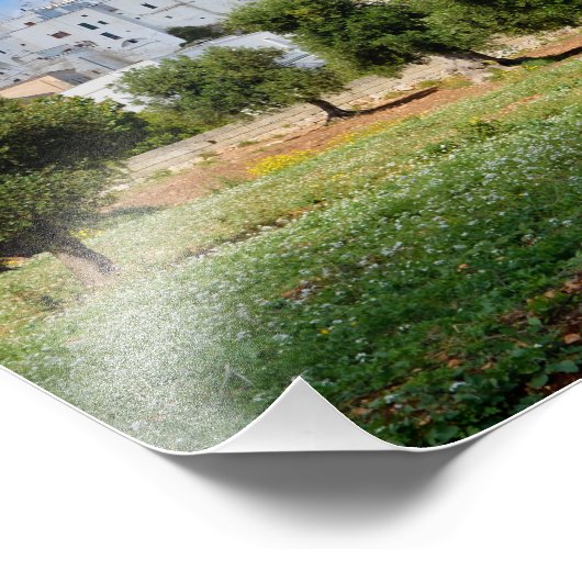 Weiße Stadt Ostuni mit Olivenbäumen, Apulien-Druck Fotodruck (Ecke)