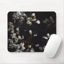 Weiße stimmungsvolle Blumen auf dunklem Hintergrun