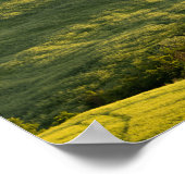 Weiße Straße in toskanischem Landschaftsposter Poster (Ecke)