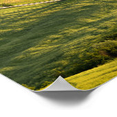 Weiße Straße in toskanischem Landschaftsposter Poster (Ecke)