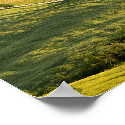 Weiße Straße in toskanischem Landschaftsposter Poster (Ecke)