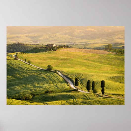 Weiße Straße in toskanischem Landschaftsposter Poster (Vorne)