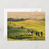 Weiße Straße Landschaft Toskana Postkarte (Vorne/Hinten)