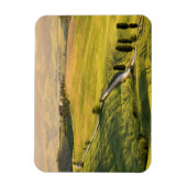 Weiße Straße mit Rechteckmagnet in der Toskana Magnet (Vertikal)