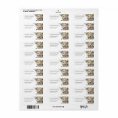 Weiße strukturierte Rosen | Hochzeit (Vorne)