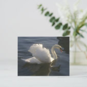 Weiße Swan-Postkarte Postkarte (Stehend Vorderseite)