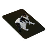 Weiße Tablette mit dunklen Pflastern Magnet (Rechte Seite)