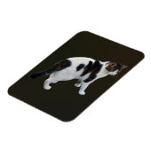 Weiße Tablette mit dunklen Pflastern Magnet (Linke Seite)