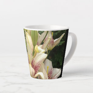 Weiße Taglilien Milchtasse