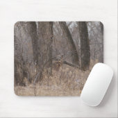 Weiße-taileded Rotwild D1 in Cottowood Bäumen Mousepad (Mit Mouse)