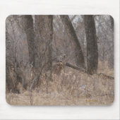 Weiße-taileded Rotwild D1 in Cottowood Bäumen Mousepad (Vorne)