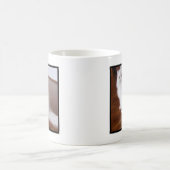 Weiße Tasse der persischen Katze (Mittel)