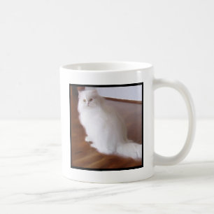 Weiße Tasse der persischen Katze