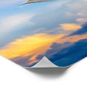 Weiße Taube im Flug Poster (Ecke)