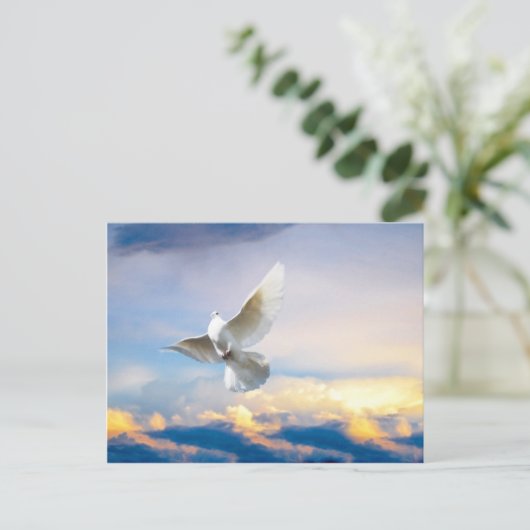 Weiße Taube im Flug Postkarte (Stehend Vorderseite)