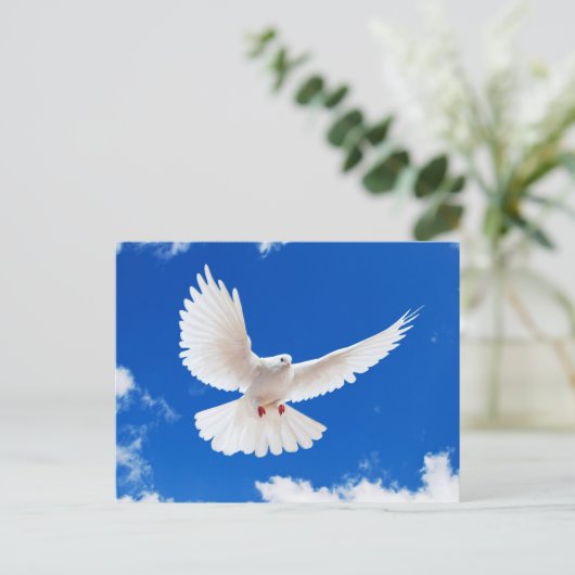Weiße Taube Postkarte (Stehend Vorderseite)