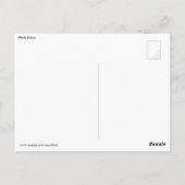 Weiße Taube Postkarte (Rückseite)