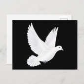 Weiße Taube Postkarte (Vorne/Hinten)