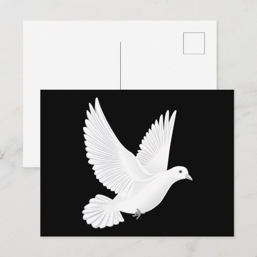 Weiße Taube Postkarte (Vorne/Hinten)