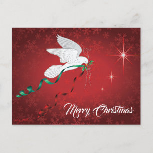 Weiße Taube Postkarte