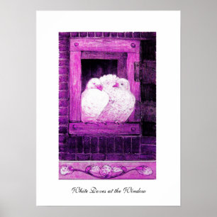 WEIßE TAUBEN AM FENSTER, rosa lila violett Poster