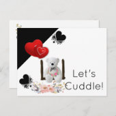 Weiße Teddybären der Postkarte (Vorne/Hinten)