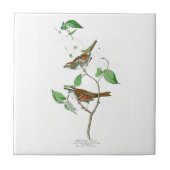 Weiße Throated Vögel Amerika Spatzen-Johns Audubon Fliese (Vorderseite)