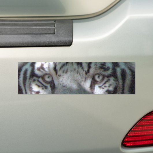 Weiße Tiger-Augen Autoaufkleber (Auf Auto)