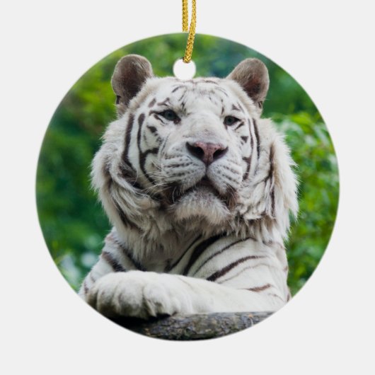 Weiße Tiger Keramik Ornament (Vorne)