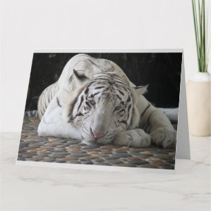 WEISSE TIGER NIEDLICHE GEBURTSTAG KARTEN BIG CARD