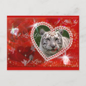 Weiße Tiger Postkarte (Vorderseite)