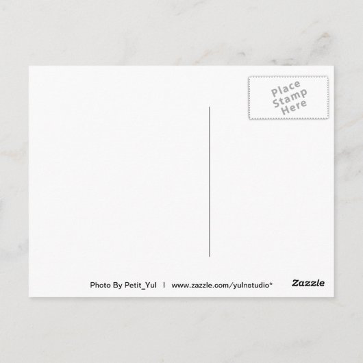 Weiße Tiger Postkarte (Rückseite)