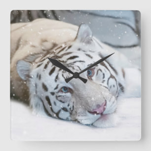 Weiße Tiger Quadratische Wanduhr