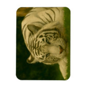 Weiße Tiger-Ruhen im Wald-Schatten Magnet (Vertikal)