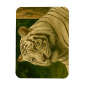 Weiße Tiger-Ruhen im Wald-Schatten Magnet (Vertikal)