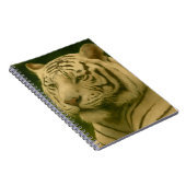 Weiße Tiger-Ruhen im Wald-Schatten Notizblock (Rechte Seite)