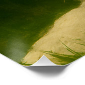 Weiße Tiger-Ruhen im Wald-Schatten Poster (Ecke)