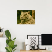 Weiße Tiger-Ruhen im Wald-Schatten Poster (Heimbüro)
