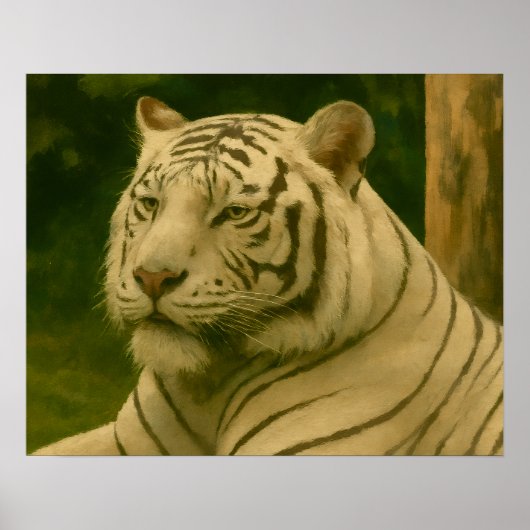 Weiße Tiger-Ruhen im Wald-Schatten Poster (Vorne)