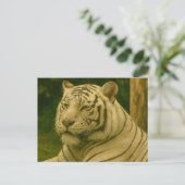 Weiße Tiger-Ruhen im Wald-Schatten Postkarte (Stehend Vorderseite)