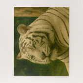 Weiße Tiger-Ruhen im Wald-Schatten Puzzle (Vertikal)