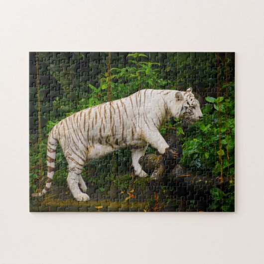 Weiße Tiger Singapur. Puzzle (Horizontal)