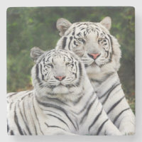 Weiße Tiger